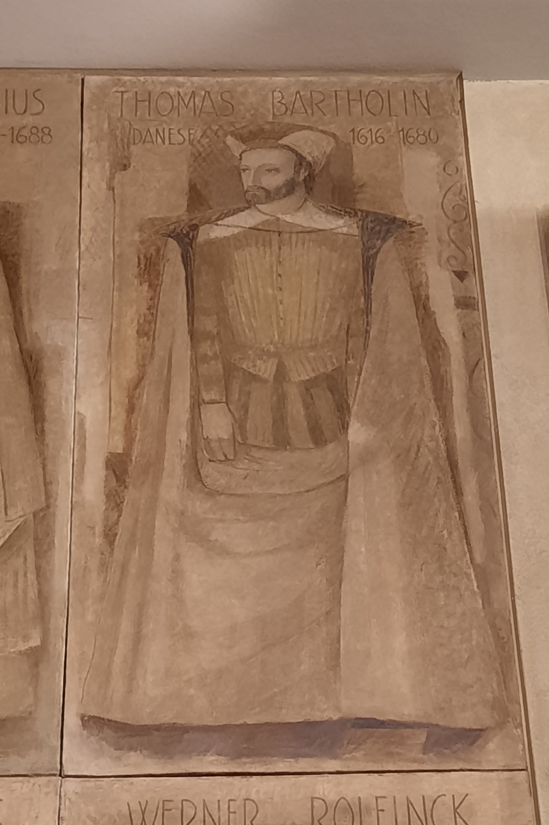 Thomas Bartholin's portrait, Palazzo Bo, Padua  (2).jpg